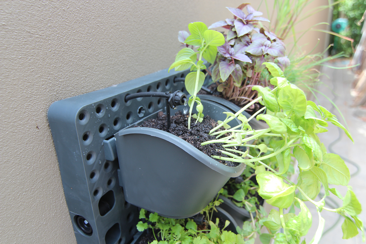 GreenWall Vertical Gardening Holman Industries