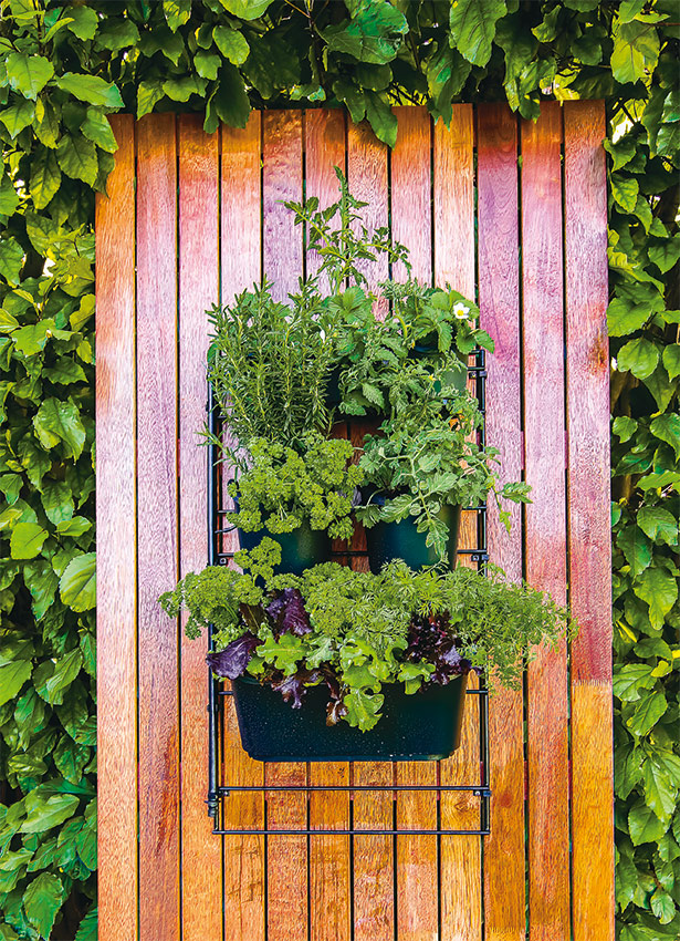 WallMounted Planting Kit Holman Industries