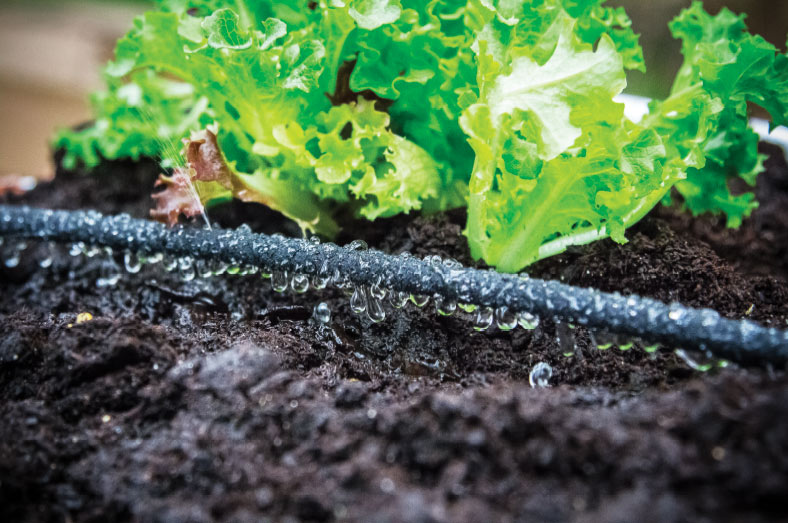 Modular Raised Garden Bed Holman Industries