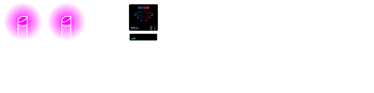 wifi garden light controller connection