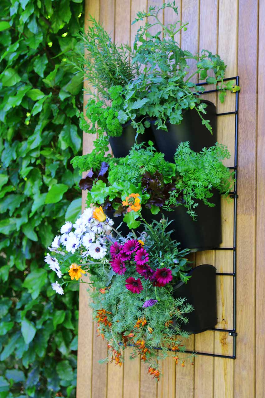 Wall-Mounted Planting Kit | Holman Industries