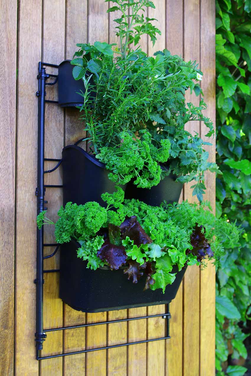 Wall-Mounted Planting Kit | Holman Industries