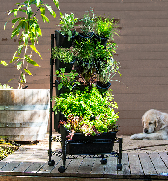 How to create a GreenWall - Vertical Garden | Holman ...