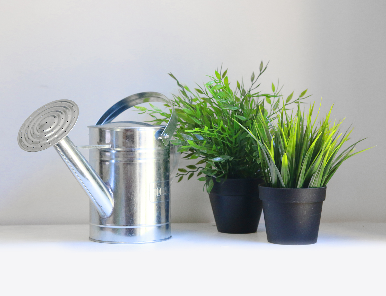 100 Decorative Watering Cans For Centerpieces Plum And
