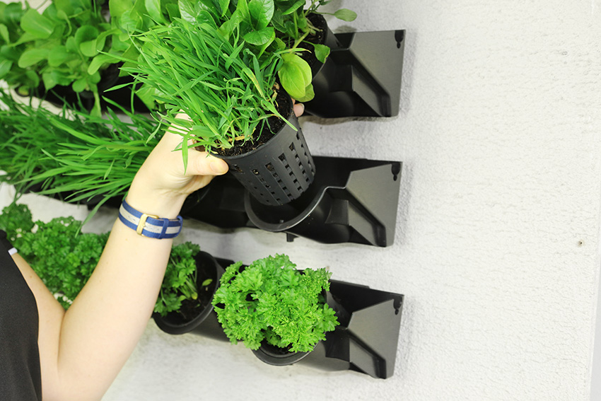 GreenWall Pixel Pot Vertical Planting Kit Holman Industries