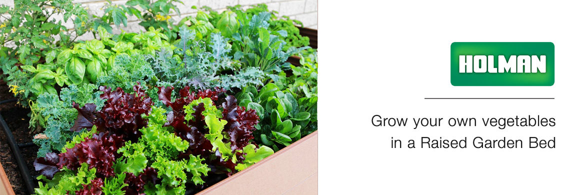 Grow Your Own Vegetables With A Raised Garden Bed Holman Industries