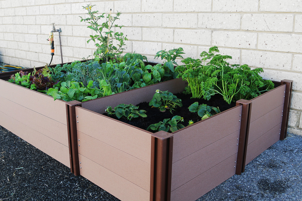 Grow your own vegetables with a Raised Garden Bed | Holman Industries
