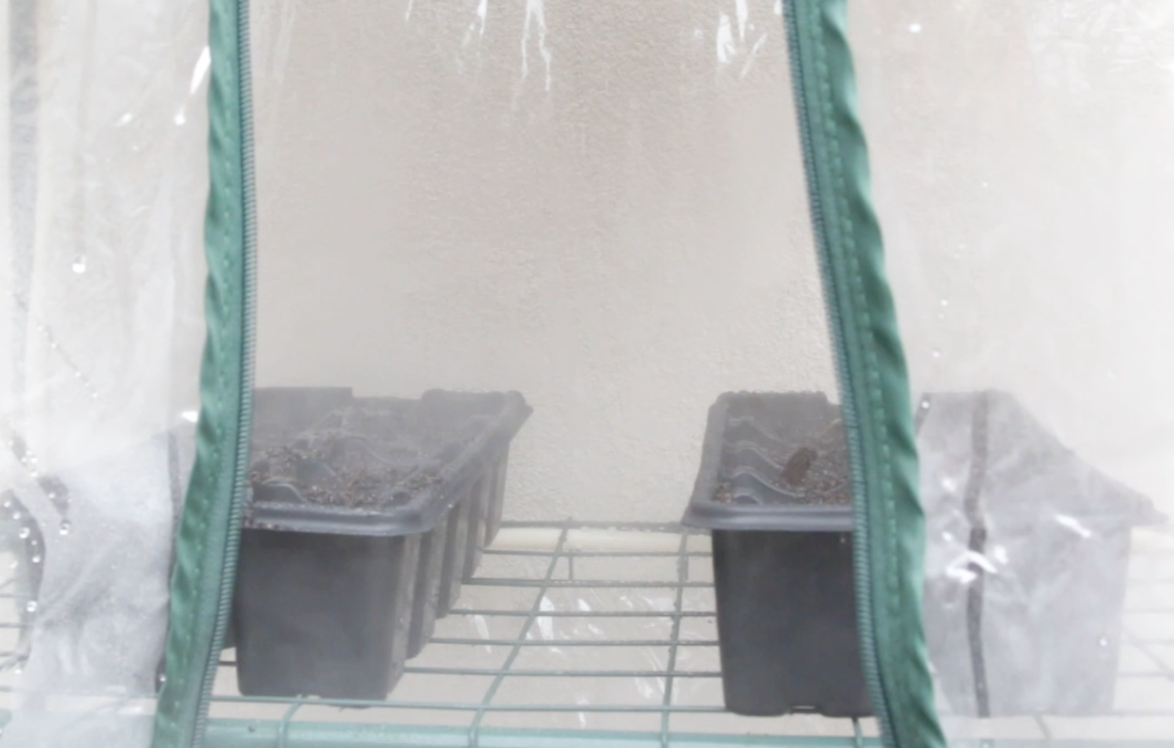 Misting system in greenhouse Holman Industries