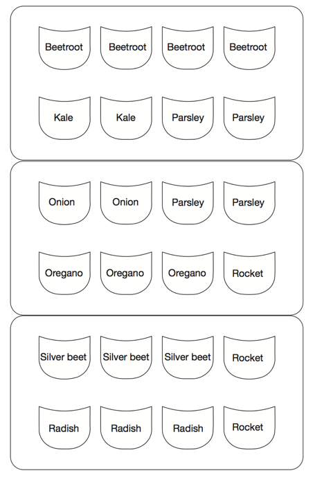 Vertical Garden Plan