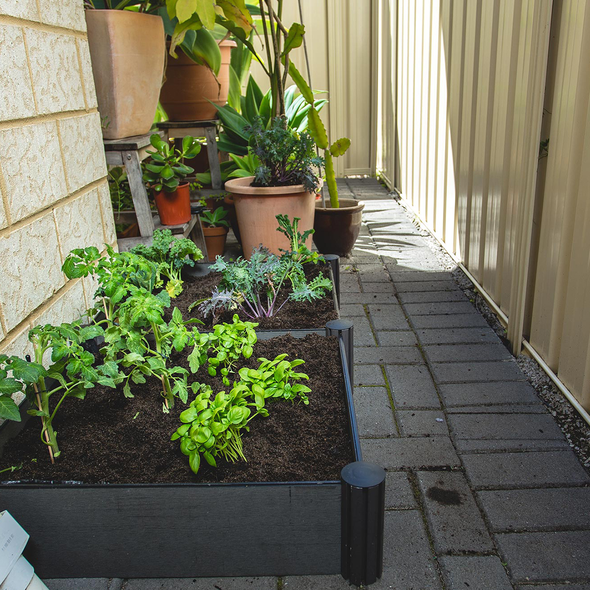 HOLMAN-Raised-Garden-Bed_After_1