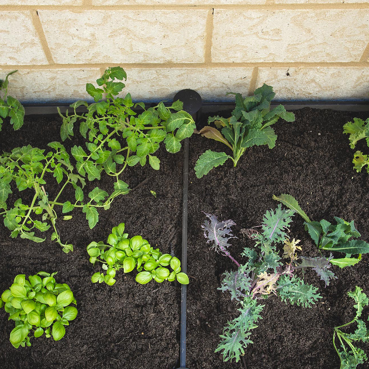 HOLMAN-Raised-Garden-Bed_Step_3_3