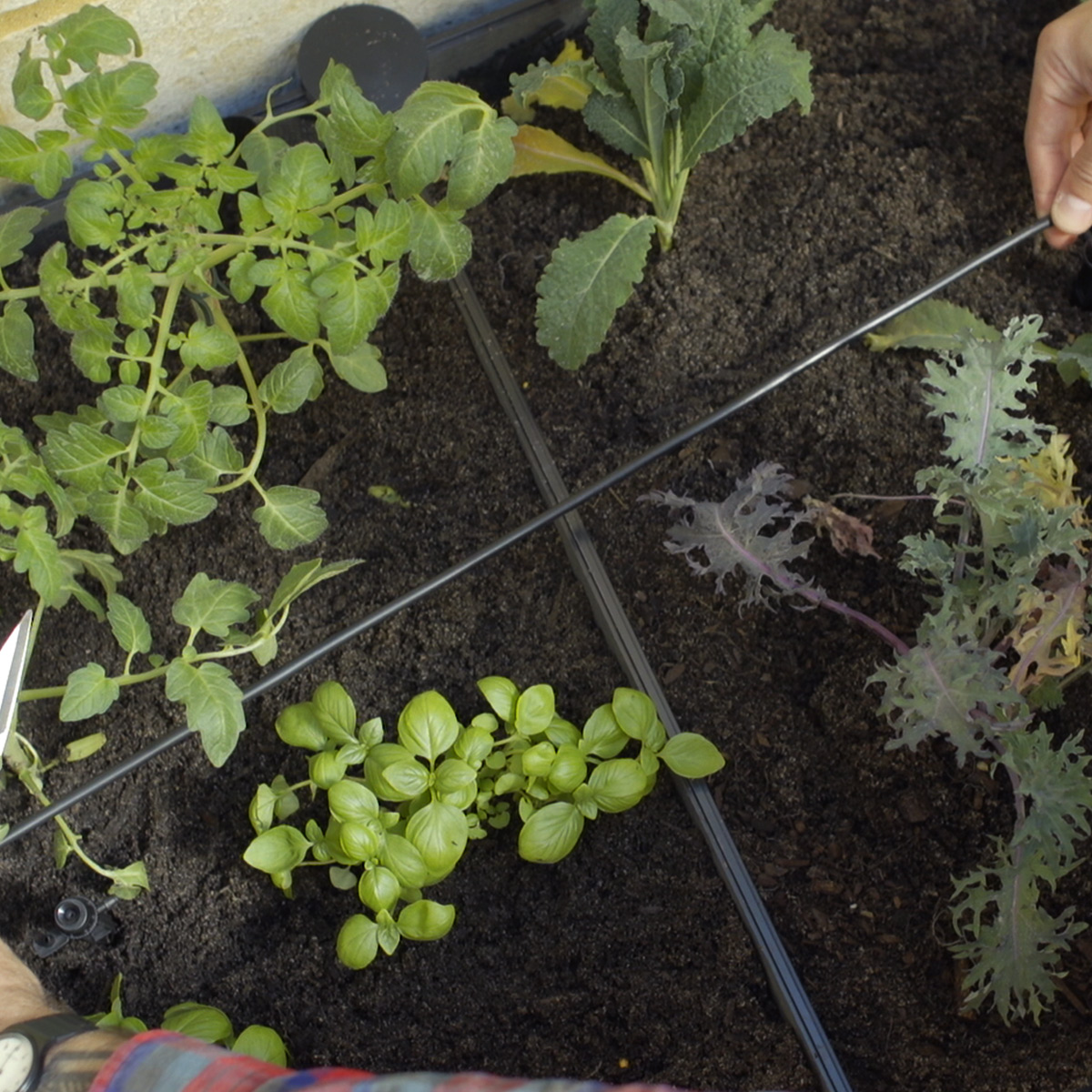 HOLMAN-Raised-Garden-Bed_Step_4_5