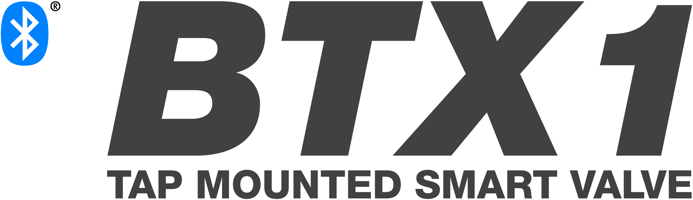 BTX1 Smart Valve