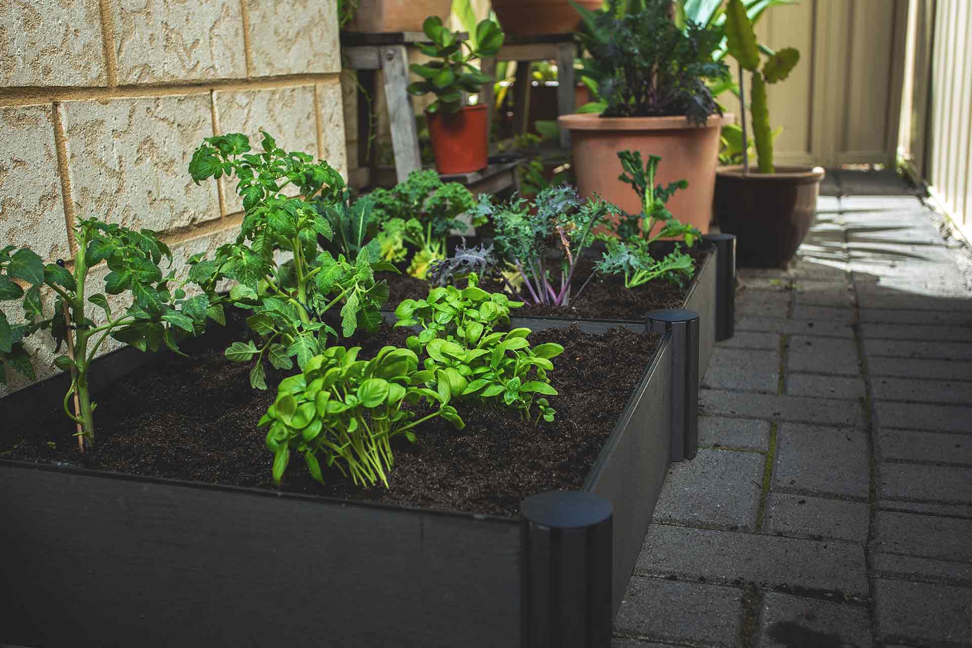 Raised Garden Beds Holman Industries
