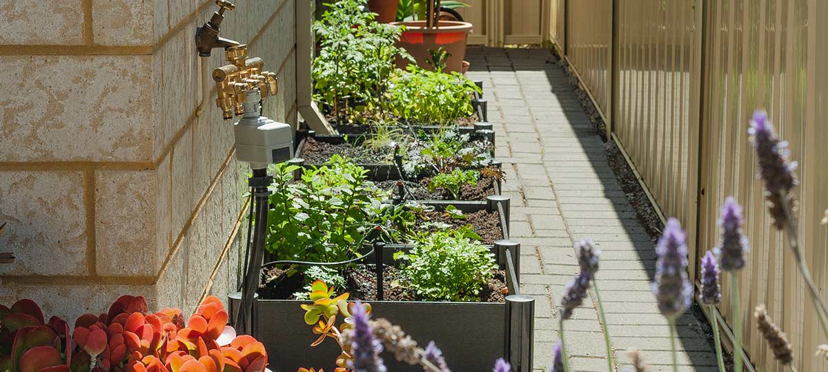 Raised Garden Beds