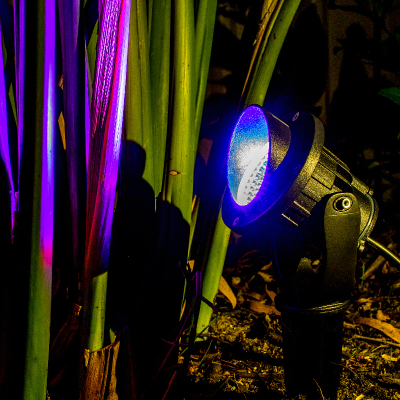 Garden Lights Holman Garden Lights Holman