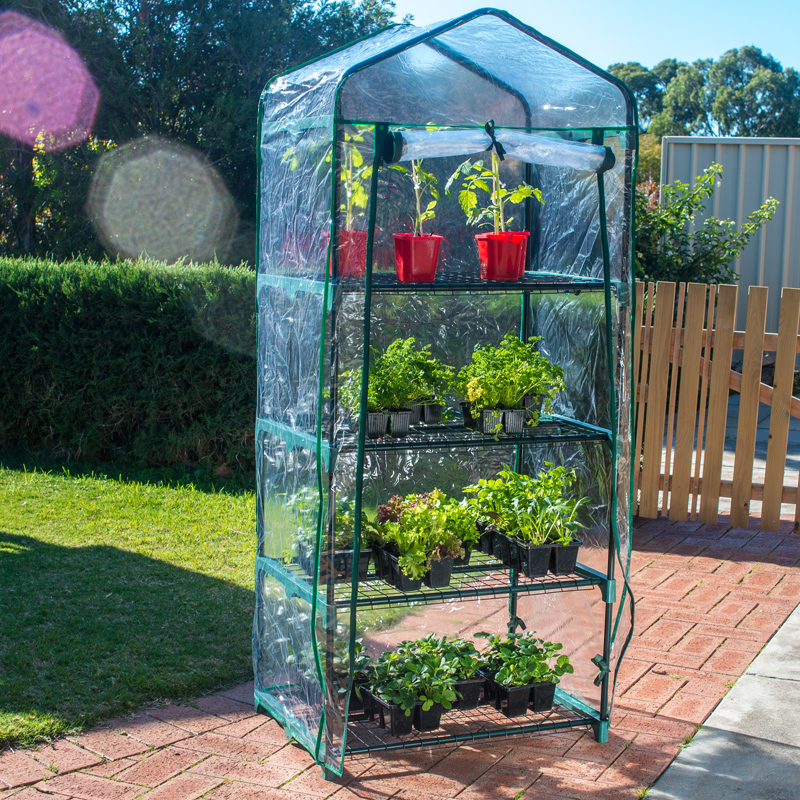 Greenhouses - 4 Tier Greenhouse with Cover