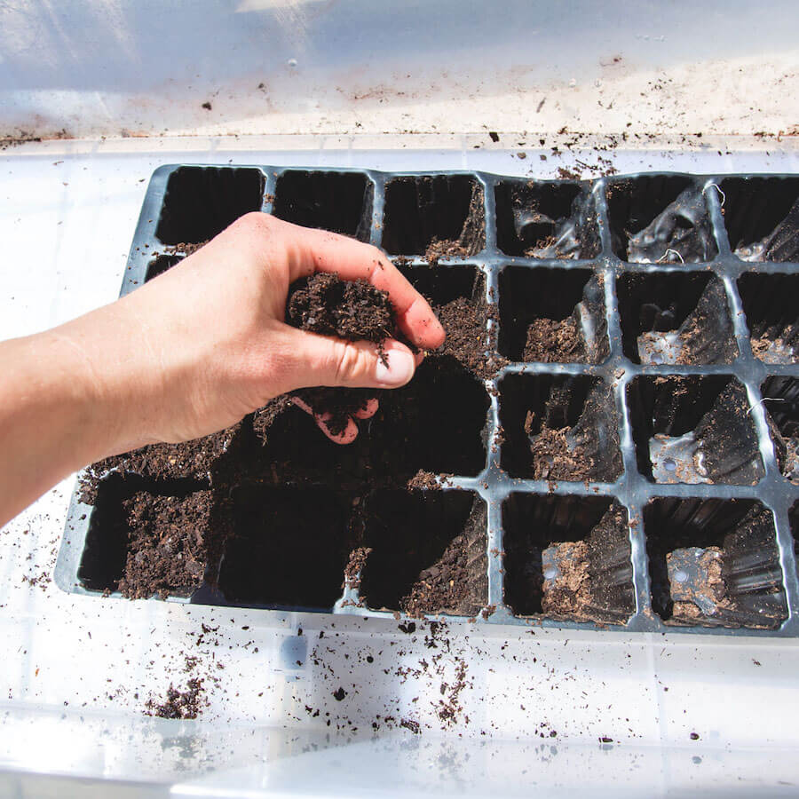 greenhouse-seed-sow-1