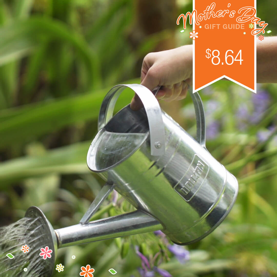 1.8L Galvanised Finish Watering Can