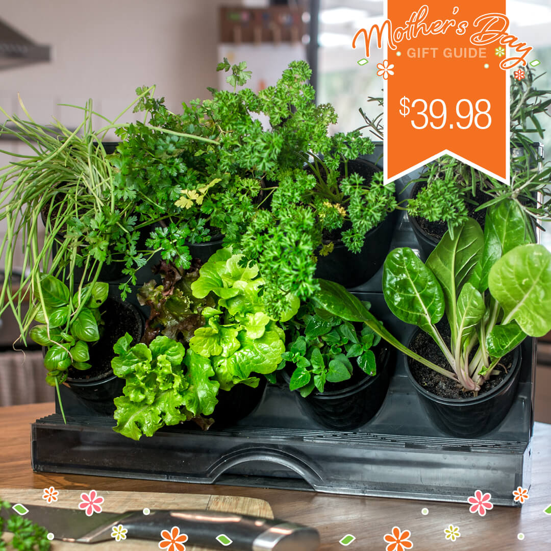 Freestanding Benchtop Vertical Planting Kit