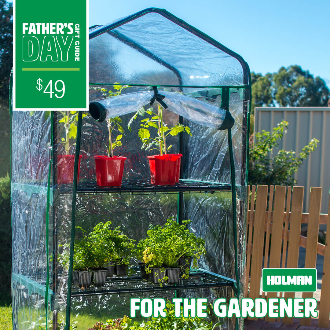 4-Tier Greenhouse with Misting Kit