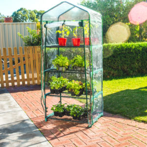 4-tier-greenhouse-with-misting-kit