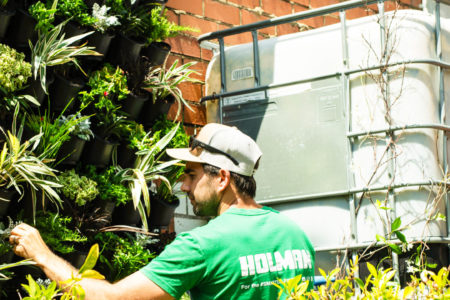 Holman Vertical GreenWall