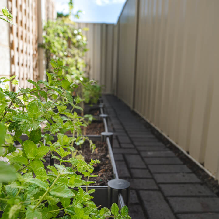 smartgardener-raised-garden-bed smartgardener-raised-garden-bed