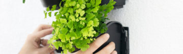 Get Creative with our Connect-a-Pot™ GreenWall™ System