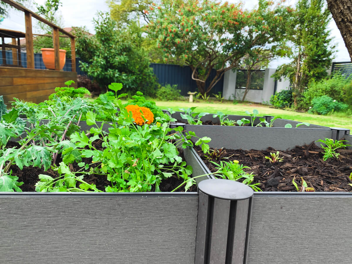 Holman Raised Garden Bed