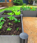 raised-garden-bed-spring-blog_6