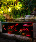 Garden Lights - RGB Colour Pond Light Value Pack