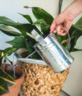 1.8L-Galvanised-Watering-Can