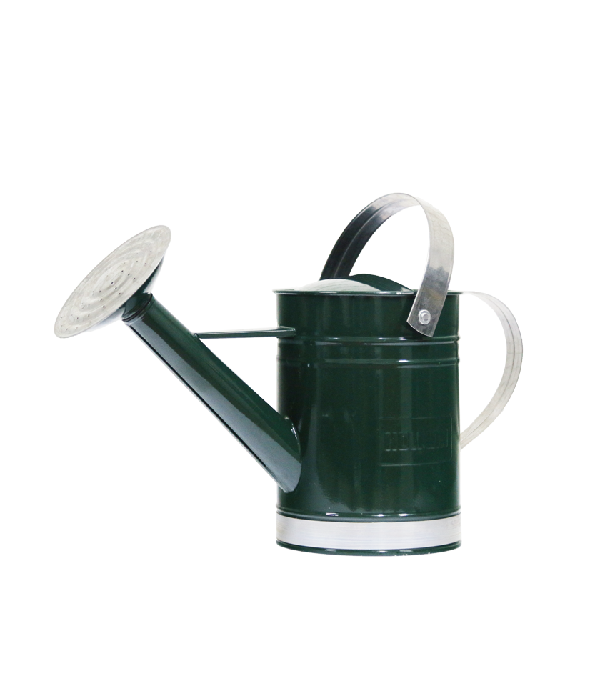 thumbnail image 2 of Watering Can - Buy Watering Can - Watering Can Best Price 2 of 9