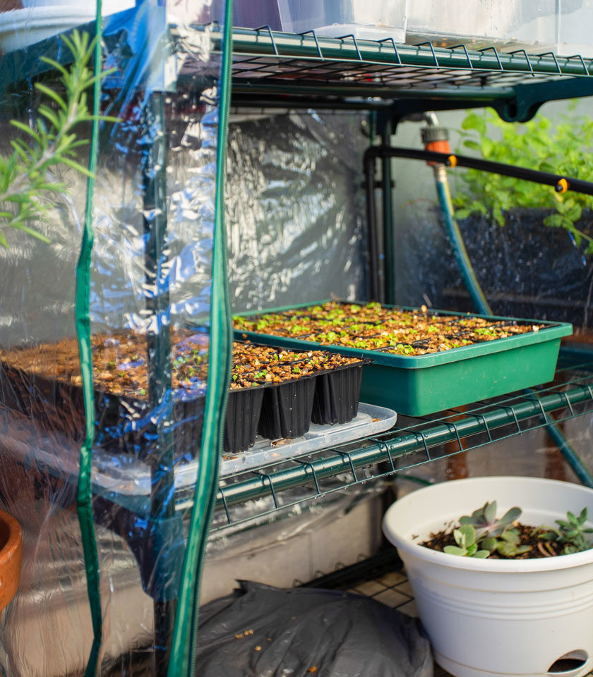 4 Tier Greenhouse And Misting Kit Holman Industries 4 Tier Greenhouse And Misting Kit Holman Industries