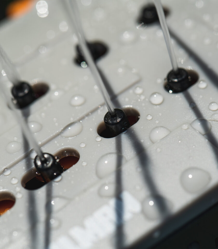 7180H_DSC08753 WEB 7180H_DSC08753 WEB