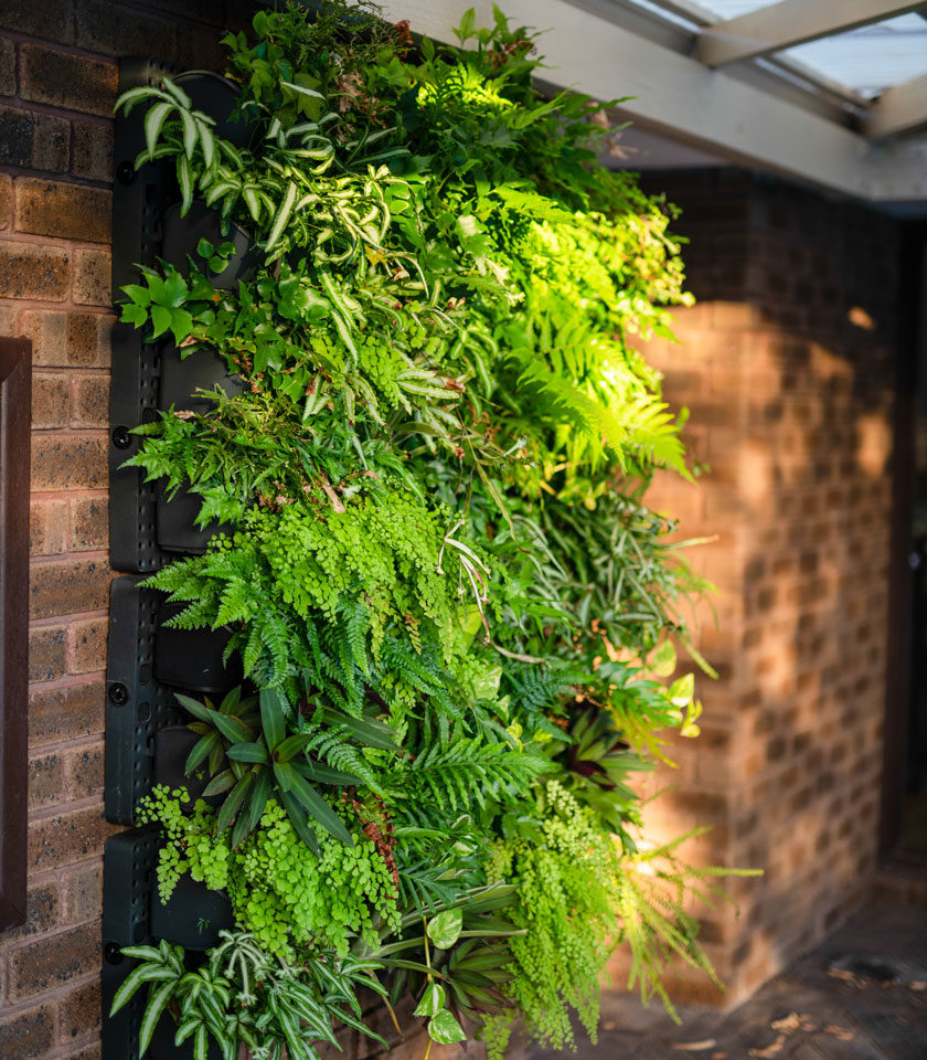 Holman Vertical GreenWall Holman Vertical GreenWall