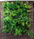 GW1001 GreenWall® Vertical Planting Kit 2