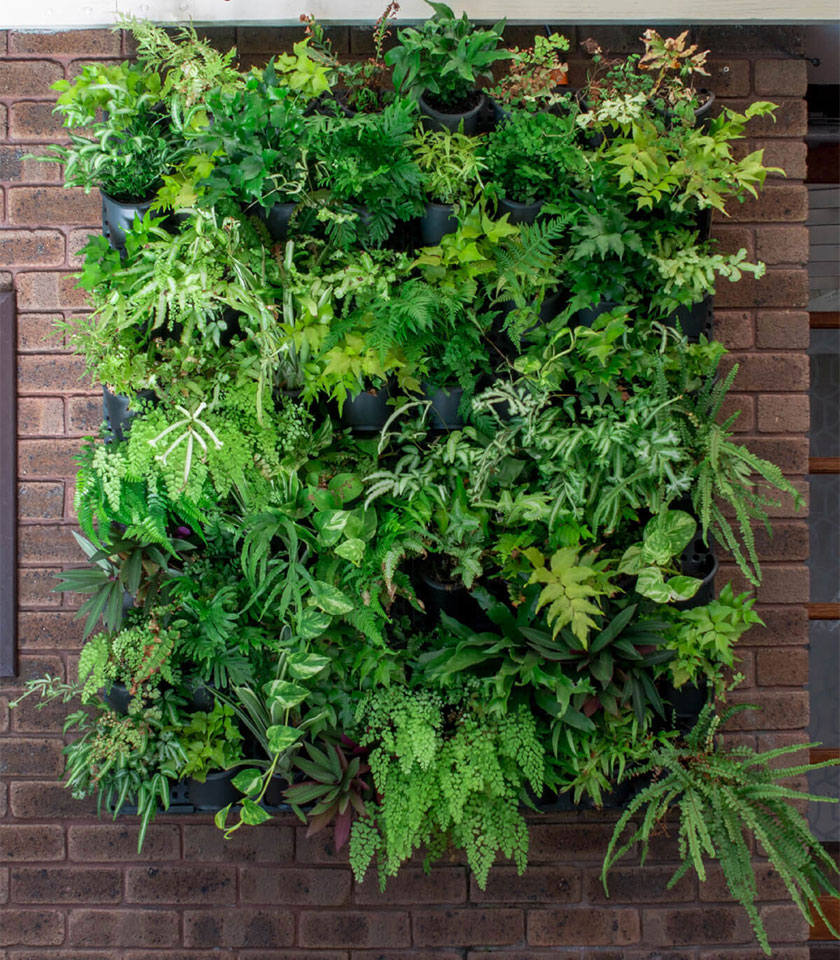 GW1001 GreenWall® Vertical Planting Kit 2 GW1001 GreenWall® Vertical Planting Kit 2