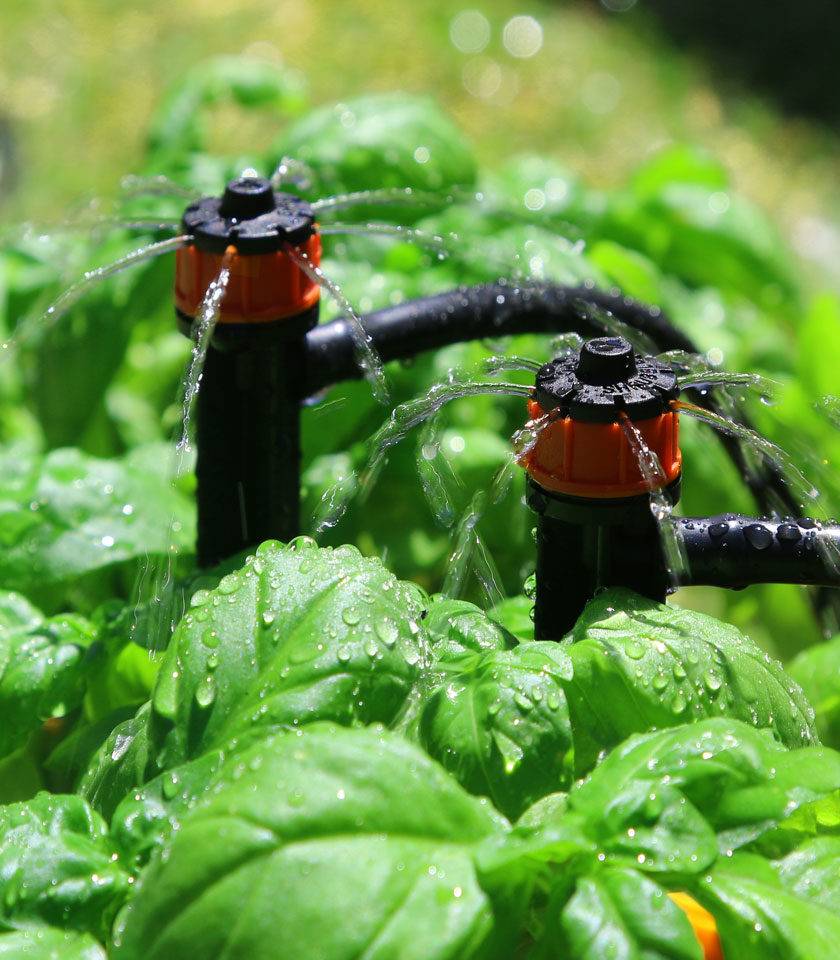 PC-Shrubbler-on-Spike PC-Shrubbler-on-Spike