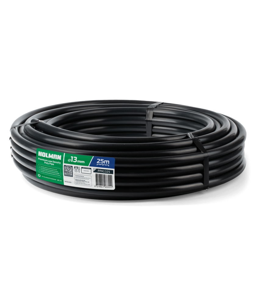 PPH1325 2025 v1 WEB