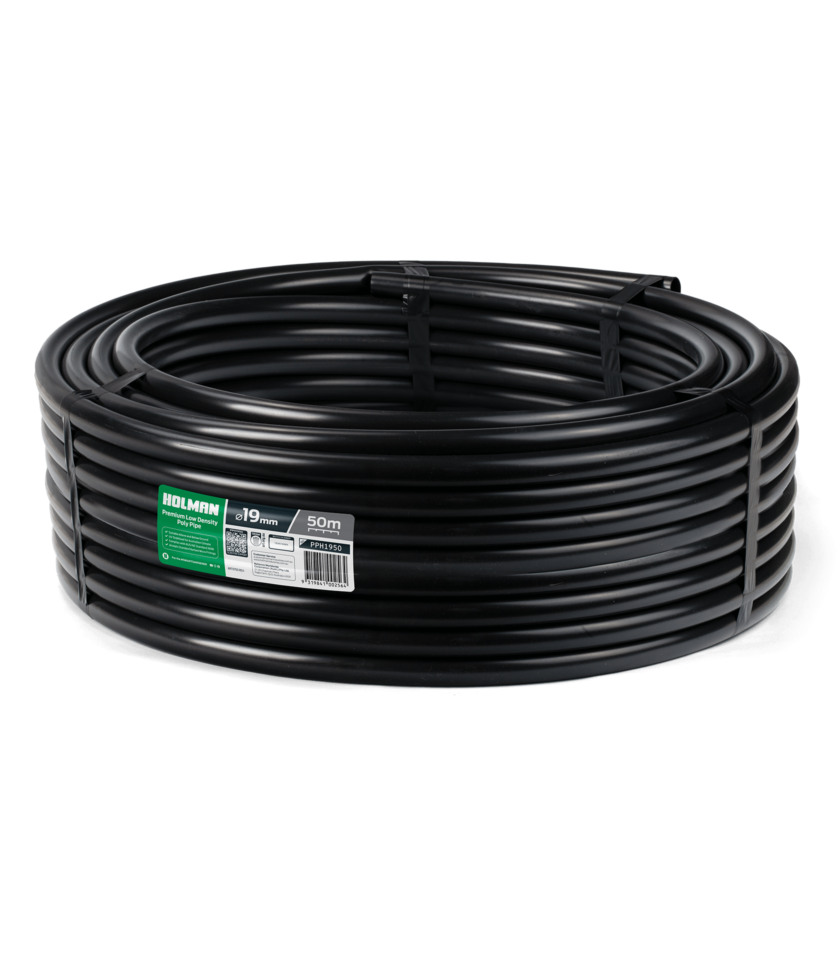 PPH1950 2025 v1 WEB