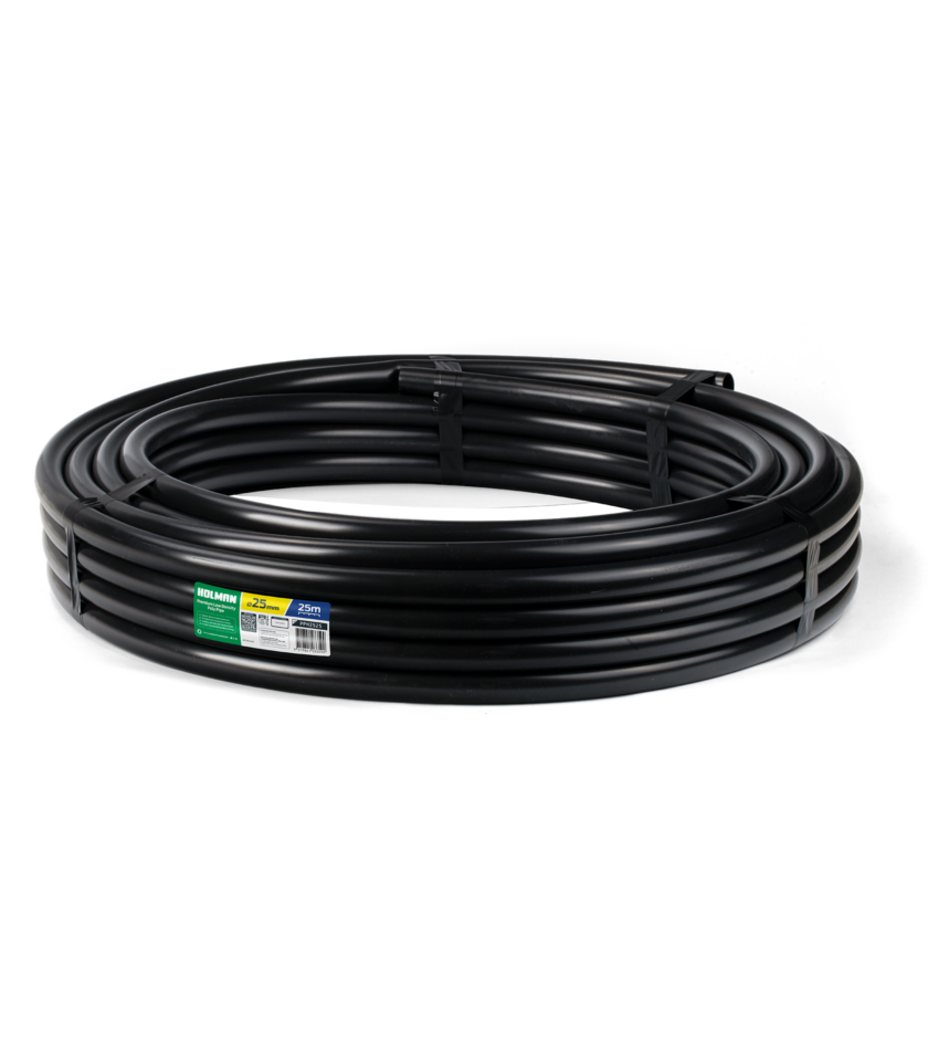 PPH2525 2025 v1