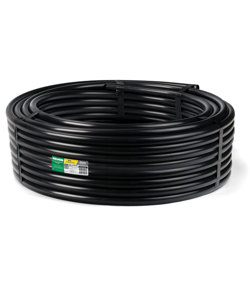PPH2550 2025 v1