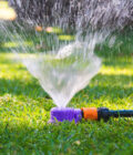 Lawn Sprinklers - Reclaimed Water Dome Sprinkler