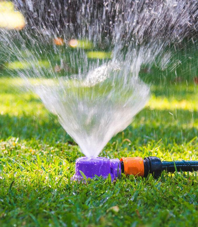 Lawn Sprinklers - Reclaimed Water Dome Sprinkler