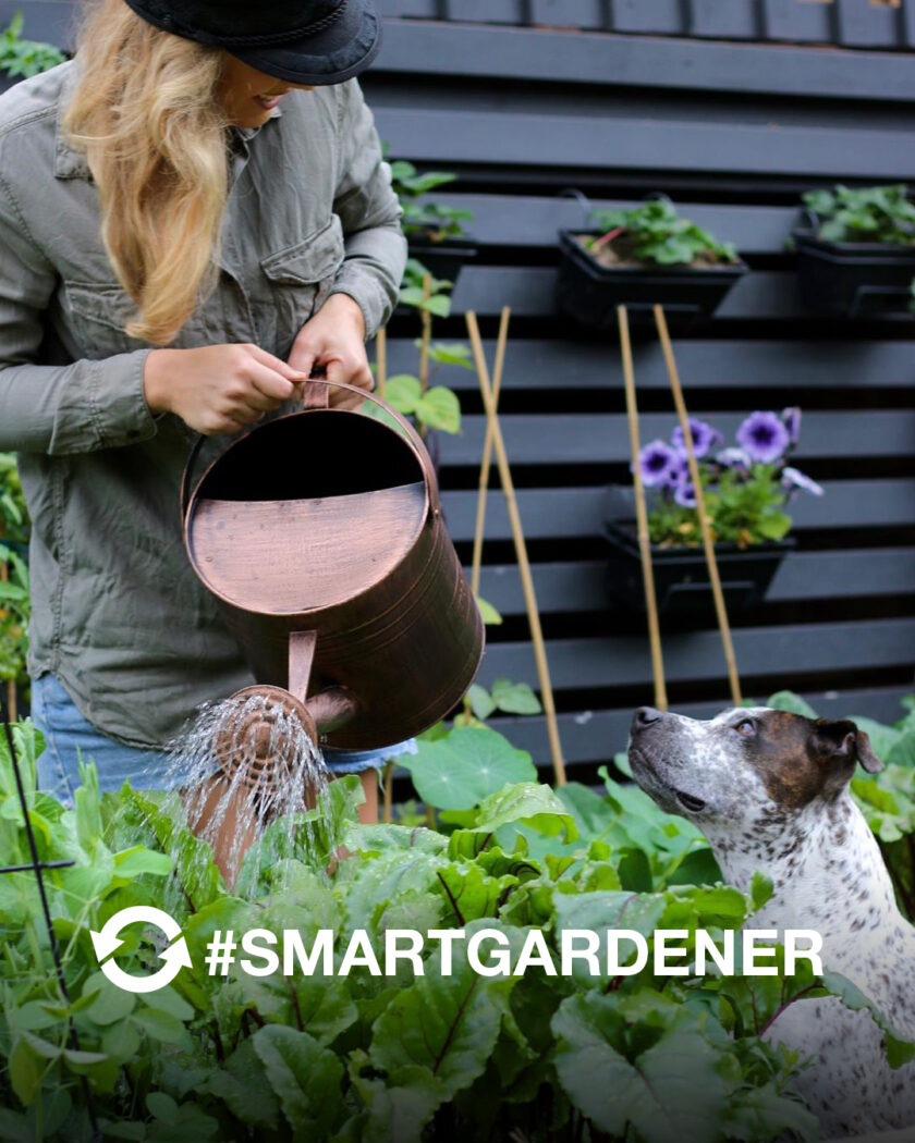 1.8L Copper Finish Watering Can Holman Industries