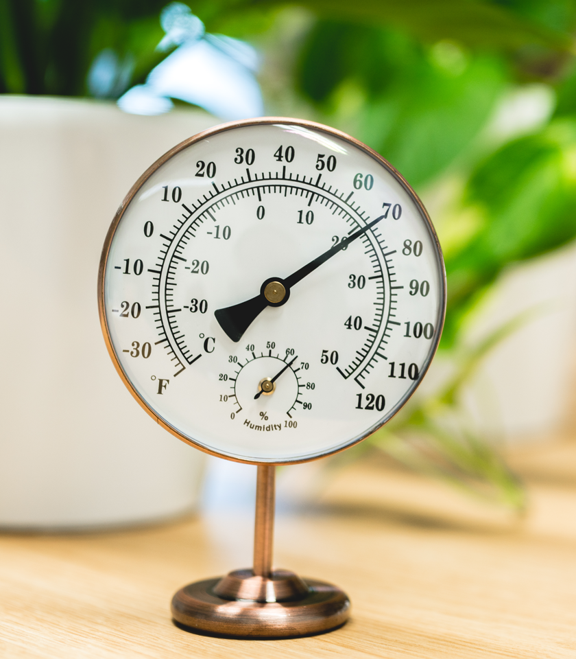 Brass Thermometer and Hygrometer Holman Industries