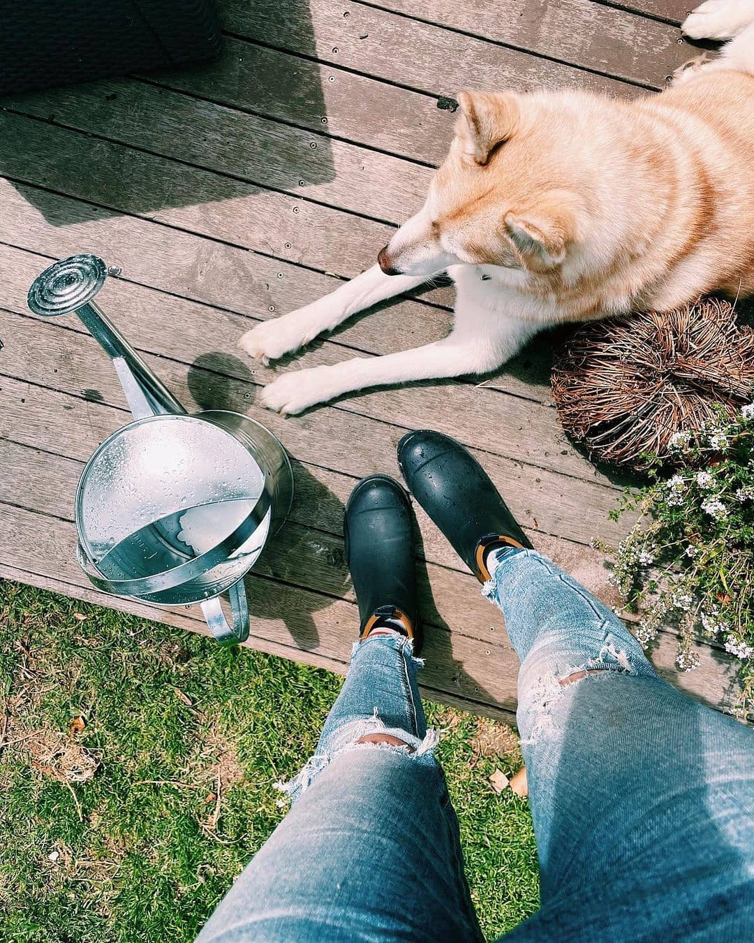 Galvanised Watering Can ginandgrease