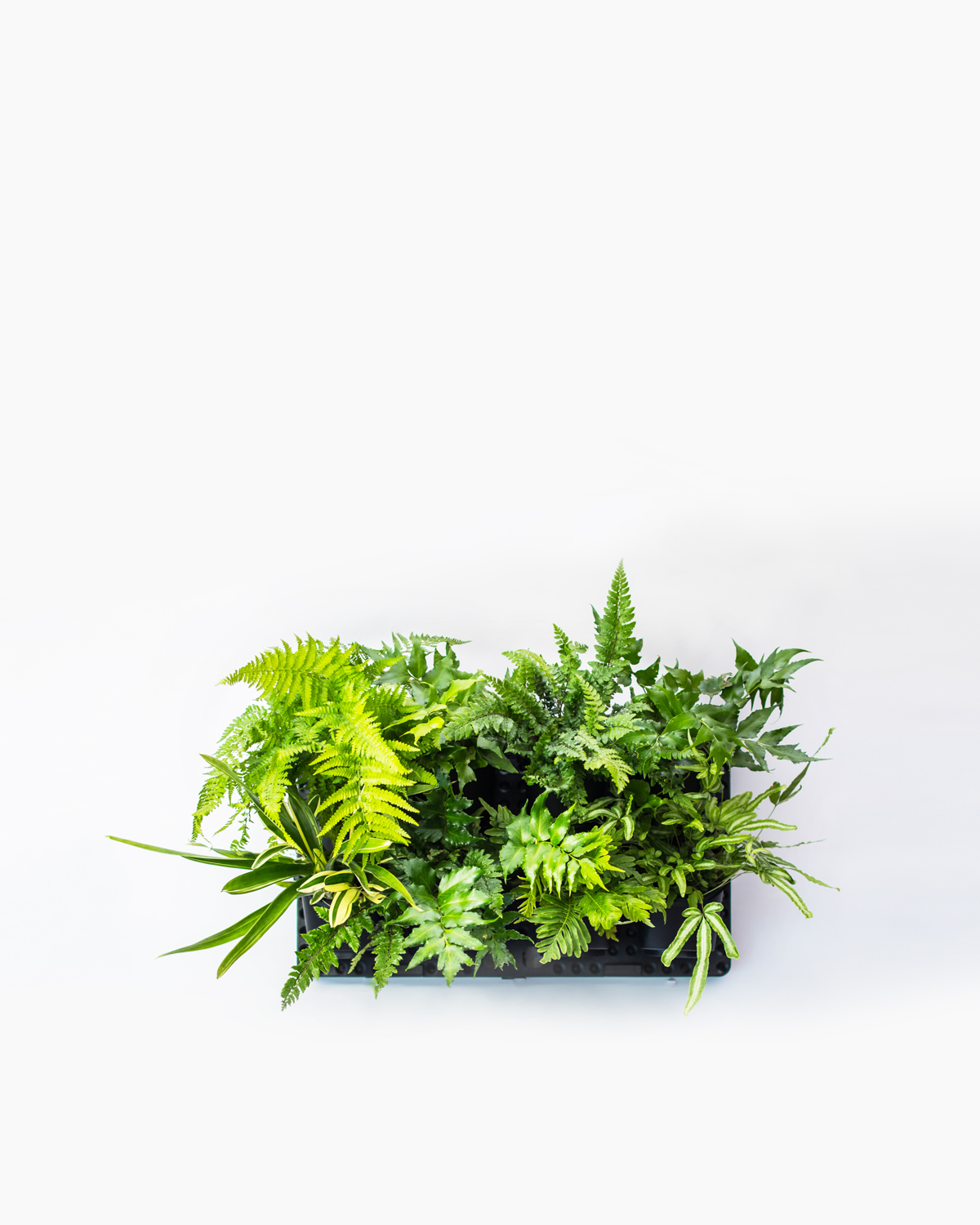 GreenWall™ Vertical Gardening